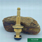 Dos cartuchos de bronze materiais da válvula de parada da inserção de CW617N peça superior personalizada