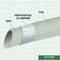 Cor verde/branca PPR plástico perfurou a resistência de alta temperatura de alumínio