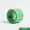 acoplamento igual plástico verde de Ppr do encaixe de tubulação de 20mm para a casa com ODM do OEM