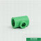 Cor verde de moldação de encaixes de tubulação de Ppr, aprovação Ppr do Ce Iso9001 que reduz o T
