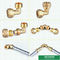 Os encaixes de bronze personalizados de Logo Brass Color PEX parafusam o peso médio dos encaixes