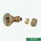 Encaixes de bronze de Pex dos encaixes de Pex 105 graus de cotovelo rosqueado fêmea de bronze
