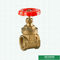 Válvula de porta rosqueada de bronze para o controle PN16 da água