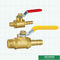 Mini Brass Ball Valve Male aos tamanhos e ao logotipo de Barb With Level Handle Customized da mangueira