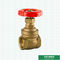 O WOG 200 punho vermelho do ferro de 2 polegadas personalizou a válvula de porta de bronze de um estilo mais pesado de BSPT E de NPT