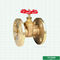 Válvula de porta flangeada de bronze de bronze personalizada da válvula de porta 1.6MPa do tipo