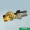 Tipo mais pesado personalizado válvula fêmea masculina do radiador de Grey Classic Heating Brass Thermostatic do cotovelo da união