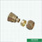 Encaixes de bronze iguais cor de bronze Logo Screw Fittings Middle Weight personalizado de Pex do acoplamento rosqueado