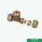 Encaixes de bronze rosqueados iguais cor de bronze Logo Screw Fittings Middle Weight personalizado de Pex do T