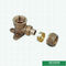 Encaixes de bronze rosqueados iguais cor de bronze Logo Screw Fittings Middle Weight personalizado de Pex do T