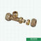 Linha masculina Hpb59-1 PEX dos encaixes de bronze folheados a níquel de PN20