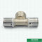 Encaixes de bronze rosqueados fêmeas personalizados da união da imprensa da compressão do T para a tubulação de alumínio de Pex Pex