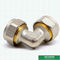 Os encaixes de bronze rosqueados iguais personalizados da compressão do cotovelo parafusam os encaixes para a tubulação de alumínio de Pex Pex