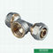 Os encaixes de bronze rosqueados fêmeas personalizados da compressão do T parafusam os encaixes para a tubulação de alumínio de Pex Pex