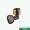 Os encaixes rosqueados igual personalizados do bronze da compressão dos encaixes transversais parafusam os encaixes para a tubulação de alumínio de Pex Pex