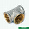 Encaixes de bronze rosqueados fêmeas de Pex dos encaixes da compressão dos encaixes do parafuso do T para a tubulação de alumínio de Pex Pex