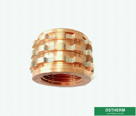 As inserções de cobre personalizaram inserções de bronze fêmeas de Ppr dos projetos com cor de cobre Shinning