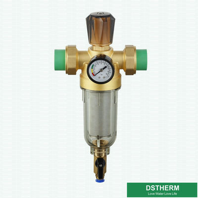 Com o medidor da pressão folheado a níquel remova o purificador da água da oxidação com o Pre-filtro de bronze da união de Ppr