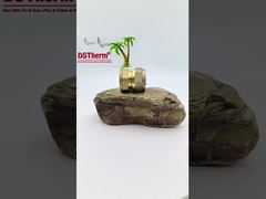 Conexão Fêmea de Tubulação PEX Conexões de Latão para Tubo SS