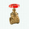 O punho azul do ferro fundido personalizou o tipo a válvula de porta de bronze de um estilo mais pesado de 1 polegada BSPT