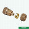 Encaixes de bronze PN20 1/2 de Pex do acoplamento Hpb58-3 rosqueado '