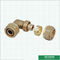 Encaixes de bronze rosqueados fêmeas cor de bronze Logo Screw Fittings Middle Weight personalizado de Pex do cotovelo