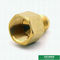 1/8' o cobre alargado de bronze fêmea masculino dos encaixes conduzem o encaixe do alargamento para o gás