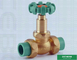 Válvula de bola PN16 de bronze sanitária forte aumentada da válvula de bola da união do dobro da pressão PPR